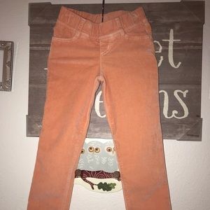 Anthem of the ants  coral velvet pants size 5